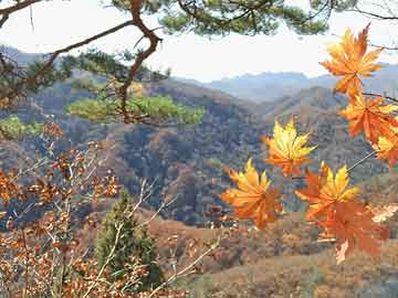 澳彩全年图库资料大全	和湖南爆炸花炮厂员工：趴水沟捡条命与